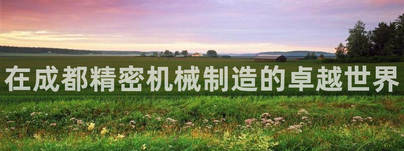 彩神VI首页：在成都精密机械制造的卓越世界