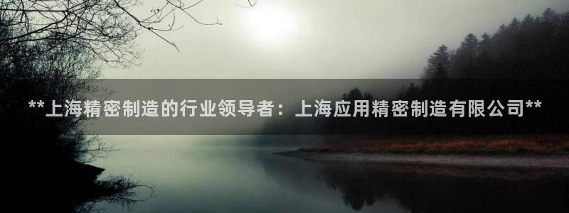 彩神vlll官网网上购彩：**上海精密制造的行业领导者：上海应用精密制造有限公司**