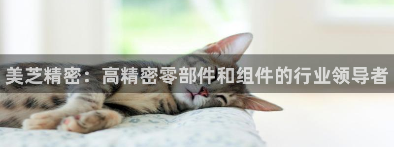 彩神vip购彩大厅下载：美芝精密：高精密零部件和组件的行业领导者