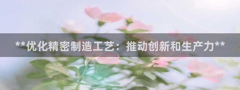 彩神网能赚钱是怎么回事：**优化精密制造工艺：推动创新和生产力**