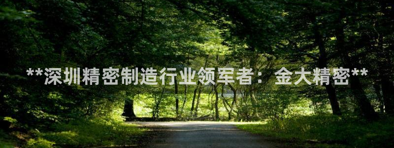 彩神8软件下载：**深圳精密制造行业领军者：金大精密**
