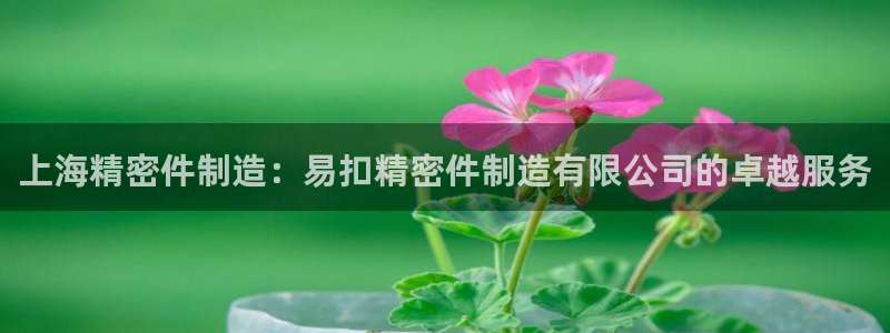 彩神邀请码:00-00-3267：上海精密件制造：易扣精密件制造有限公司的卓越服务