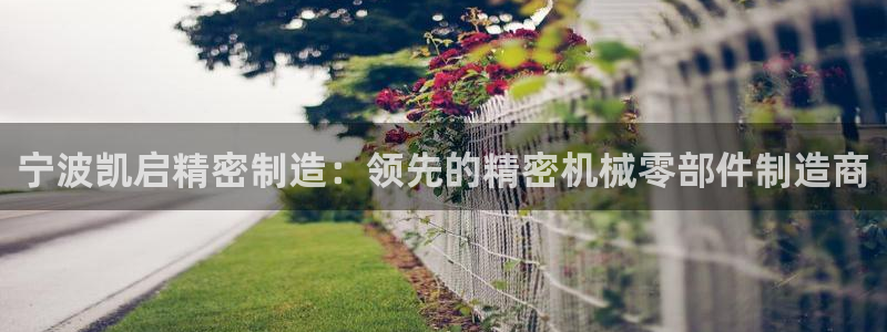 彩神大发黑平台：宁波凯启精密制造：领先的精密机械零部件制造商