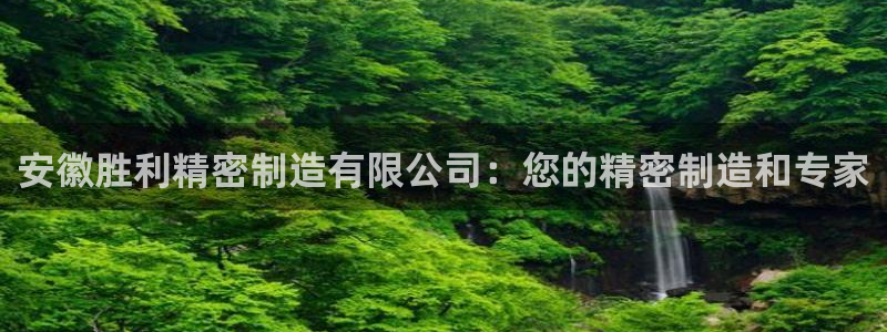 彩神争霸官方下载2017：安徽胜利精密制造有限公司：您的精密制造和专家