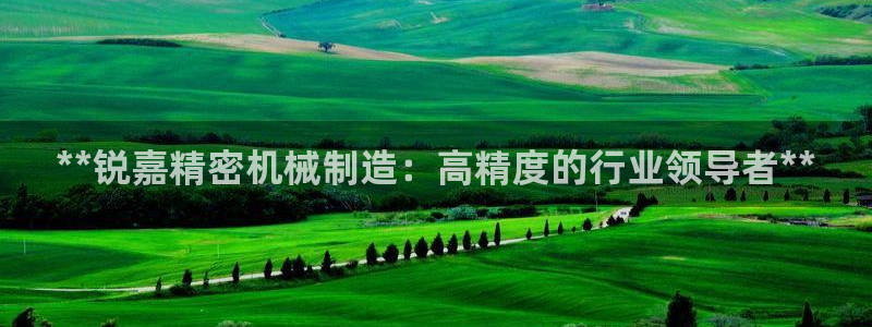 彩神vii官网大赢家：**锐嘉精密机械制造：高精度的行业领导者**