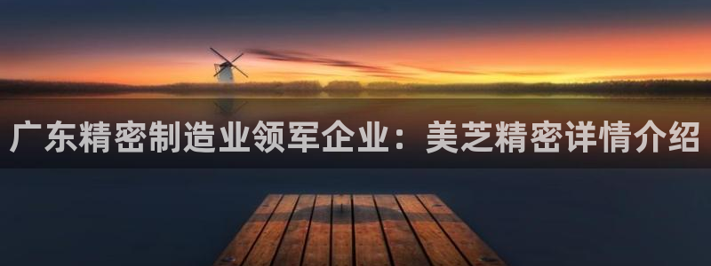 彩神v8手机客户端下载：广东精密制造业领军企业：美芝精密详情介绍