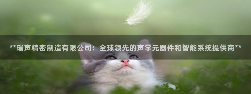 彩神Vii购彩-购彩大厅：**瑞声精密制造有限公司：全球领先的声学元器件和智能系统提供商**