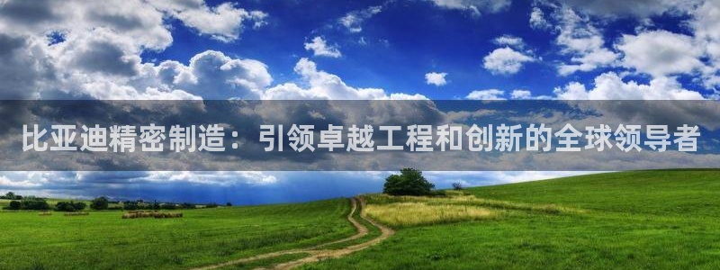 彩神vip购彩大厅下载：比亚迪精密制造：引领卓越工程和创新的全球领导者