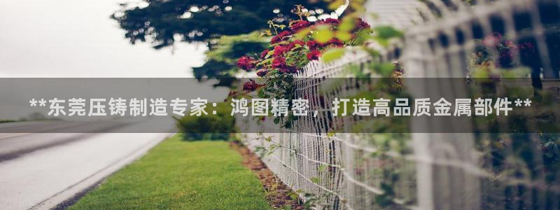 彩神是正规平台吗：**东莞压铸制造专家：鸿图精密，打造高品质金属部件**