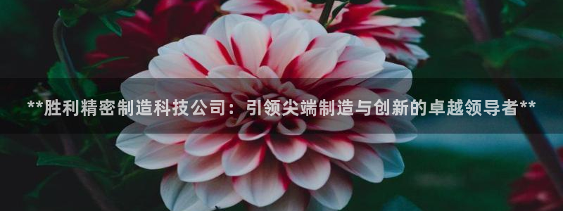 彩神vⅲ下载安装：**胜利精密制造科技公司：引领尖端制造与创新的卓越领导者**