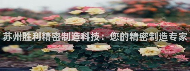 彩神8官网下：苏州胜利精密制造科技：您的精密制造专家