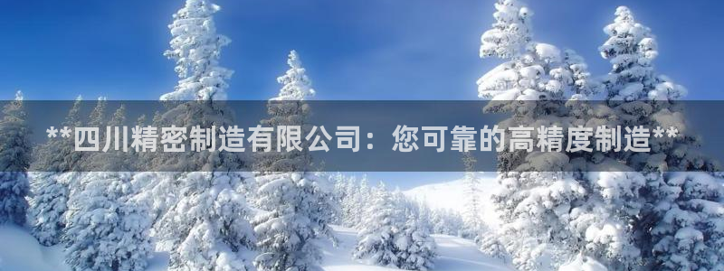 彩神骗局：**四川精密制造有限公司：您可靠的高精度制造**