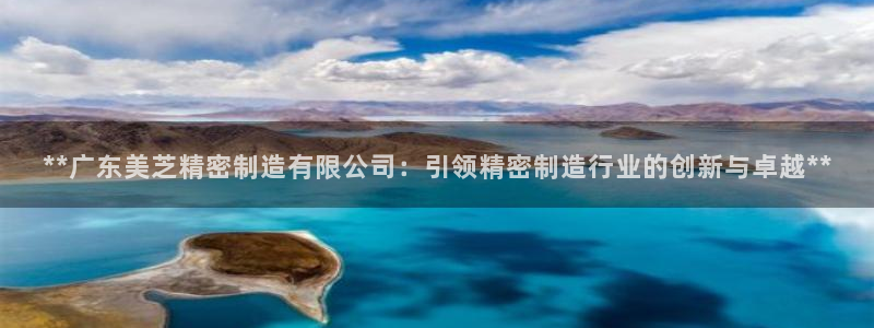 下载彩神通关注码：**广东美芝精密制造有限公司：引领精密制造行业的创新与卓越**