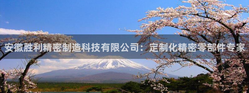 彩神邀请码:00-00-3267：安徽胜利精密制造科技有限公司：定制化精密零部件专家