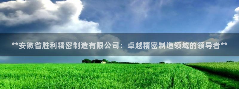 彩神v8下载app5.0：**安徽省胜利精密制造有限公司：卓越精密制造领域的领导者**