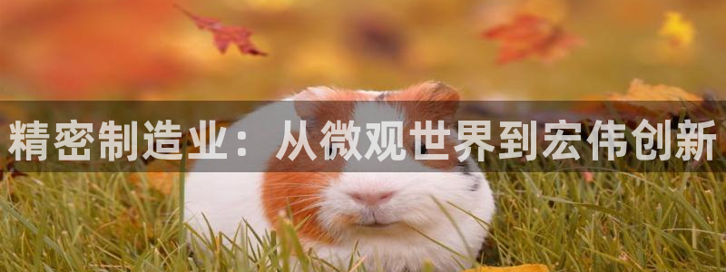 彩神8官网合法吗：精密制造业：从微观世界到宏伟创新