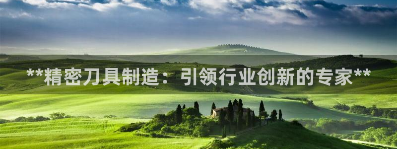 彩神赢了钱登录不上去：**精密刀具制造：引领行业创新的专家**