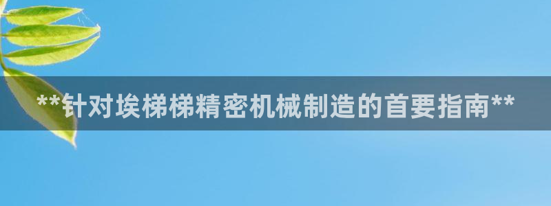 彩神购彩-购彩大厅入口36fr：**针对埃梯梯精密机械制造的首要指南**