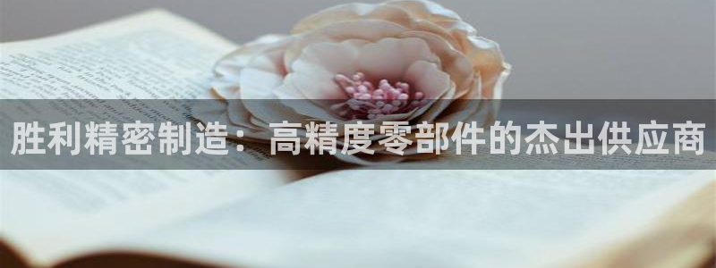 彩神V官网：胜利精密制造：高精度零部件的杰出供应商