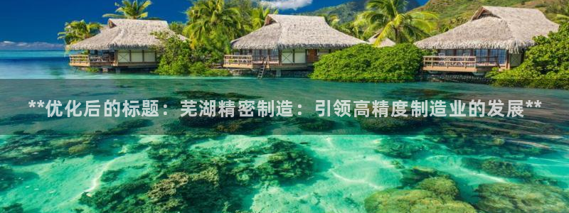 彩神vlll游戏特色：**优化后的标题：芜湖精密制造：引领高精度制造业的发展**