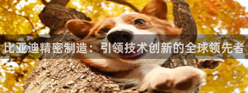 彩神8最新版下载：比亚迪精密制造：引领技术创新的全球领先者