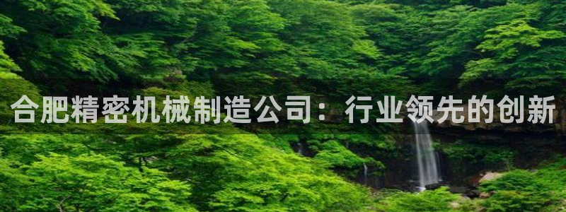彩神VII购彩中心：合肥精密机械制造公司：行业领先的创新