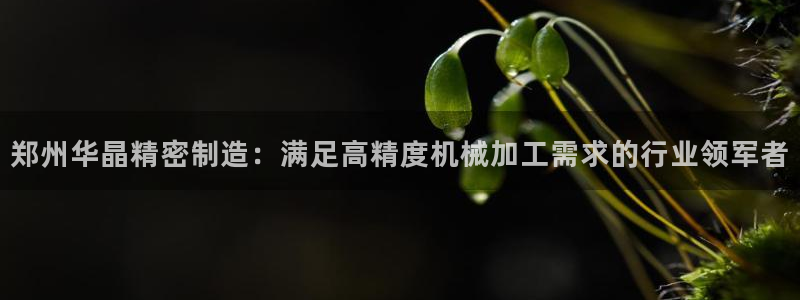 彩神ix官网是哪个公司的：郑州华晶精密制造：满足高精度机械加工需求的行业领军者