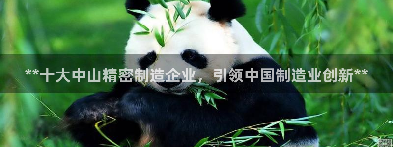 彩神vi争霸官网：**十大中山精密制造企业，引领中国制造业创新**