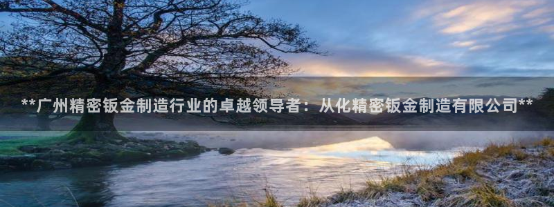 彩神vii官网：**广州精密钣金制造行业的卓越领导者：从化精密钣金制造有限公司**