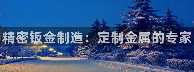 彩神8是正规平台吗：精密钣金制造：定制金属的专家