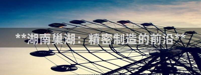 彩神 好 平台：**湖南巢湖：精密制造的前沿**