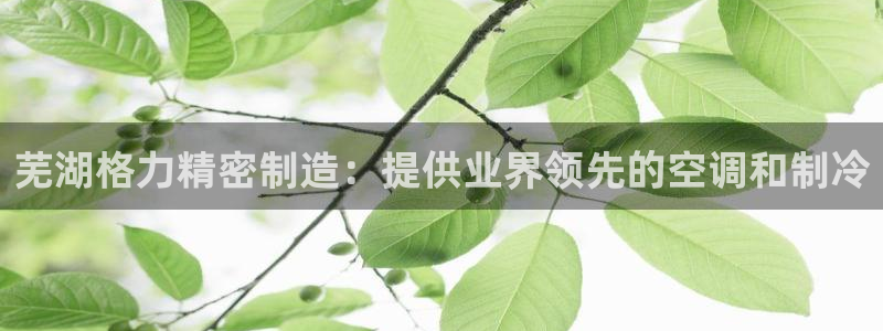 彩神v8下载app：芜湖格力精密制造：提供业界领先的空调和制冷