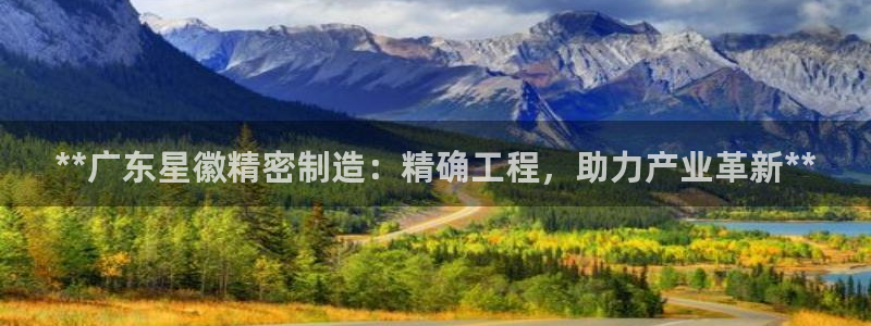 彩神v违法么：**广东星徽精密制造：精确工程，助力产业革新**