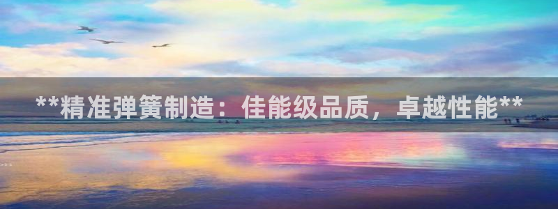 彩神v8手机客户端：**精准弹簧制造：佳能级品质，卓越性能**