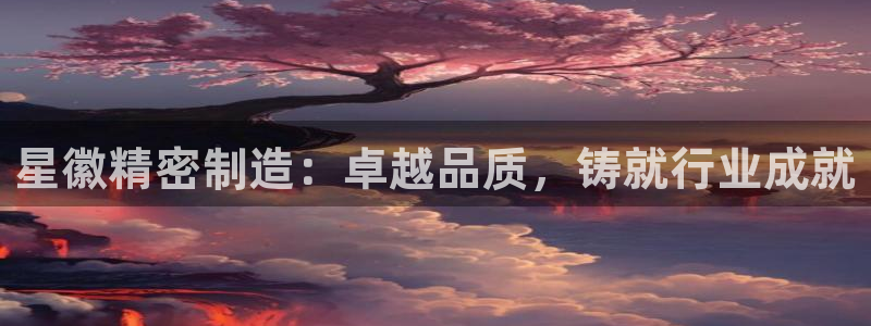 彩神vll官网-最新版app下载：星徽精密制造：卓越品质，铸就行业成就