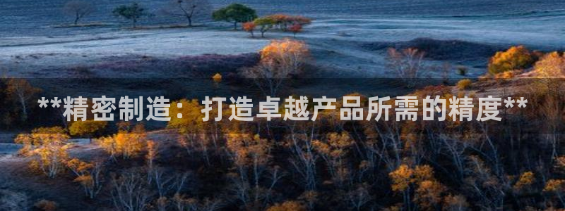 彩神是怎样一个平台：**精密制造：打造卓越产品所需的精度**