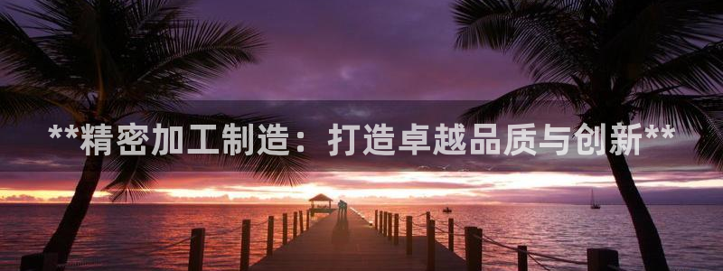 彩神ix平台：**精密加工制造：打造卓越品质与创新**