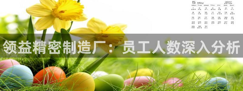 彩神v违法么：领益精密制造厂：员工人数深入分析