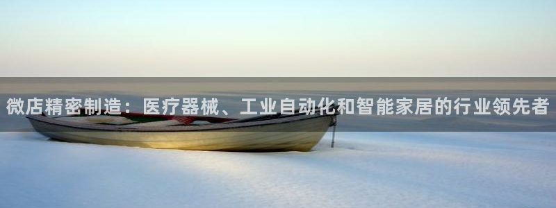 彩神x平台靠什么盈利：微店精密制造：医疗器械、工业自动化和智能家居的行业领先者