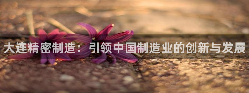 彩神ix能赚钱吗：大连精密制造：引领中国制造业的创新与发展