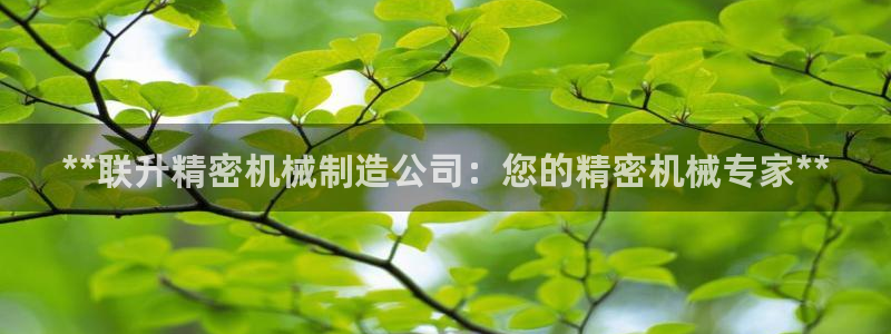 彩神旗下有哪些平台可以玩：**联升精密机械制造公司：您的精密机械专家**