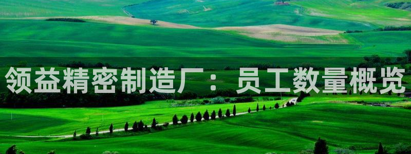 彩神V购彩大厅：领益精密制造厂：员工数量概览