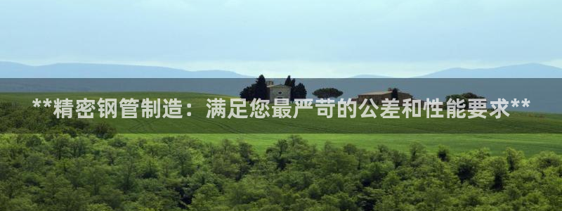 彩神广告有限公司：**精密钢管制造：满足您最严苛的公差和性能要求**