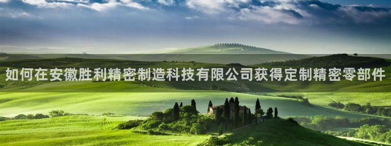 下载彩神v8：如何在安徽胜利精密制造科技有限公司获得定制精密零部件