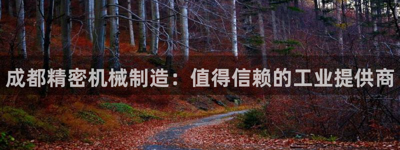 彩神vii手游下载：成都精密机械制造：值得信赖的工业提供商