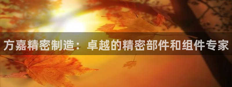 彩神通官方网：方嘉精密制造：卓越的精密部件和组件专家