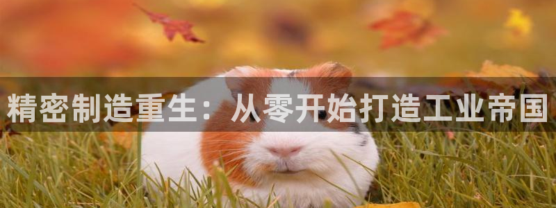 彩神v秘聊号码：精密制造重生：从零开始打造工业帝国