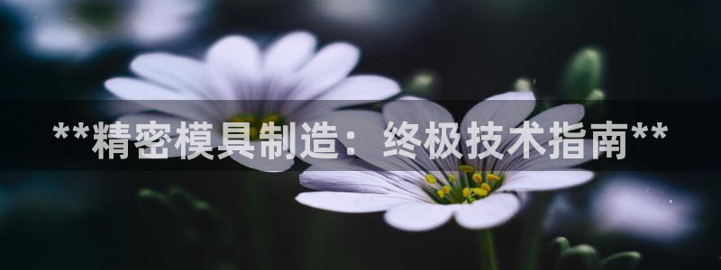 彩神8官网版：**精密模具制造：终极技术指南**