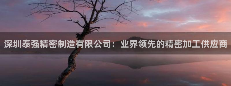 彩神vii官网大赢家：深圳泰强精密制造有限公司：业界领先的精密加工供应商