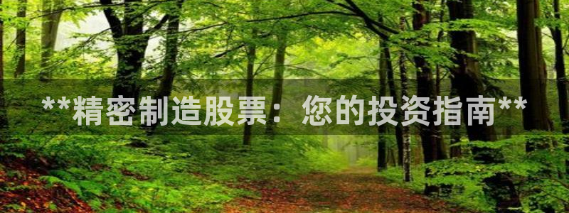 彩神是怎样一个平台赚钱的：**精密制造股票：您的投资指南**